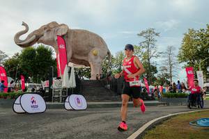 BIB: 
                            <button type="button" onclick="openModal(26529133)" class="btn btn-primary btn-sm float-right btn-popup" data-toggle="modal" data-target=".modal-high-quality">
                        <i class="fas fa-shopping-cart"></i> Add to Cart
                    </button>
                                            <button type="button" onclick="isThisMe(26529133, true)" class="btn btn-success btn-sm float-right btn-popup btn-isme hidden" data-toggle="tooltip" data-placement="bottom" title="นี่คือรูปของคุณใช่ไหม คลิกที่นี่เพื่อเอาเข้าอัลบั้ม">
                        <i class="fas fa-plus"></i> Add to album
                    </button>
                    <button type="button" onclick="isThisMe(26529133, false)" class="btn btn-warning btn-sm float-right btn-popup btn-isnotme hidden">
                        <i class="fas fa-ban"></i> Remove from album
                    </button>